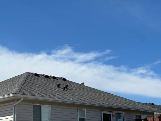 Best Metal Roofing Installation  in Marine City, MI